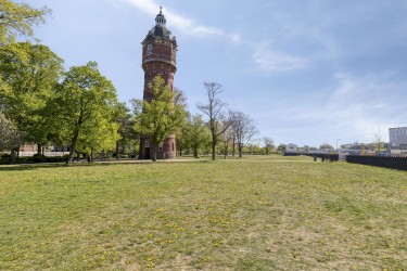 Omgeving
