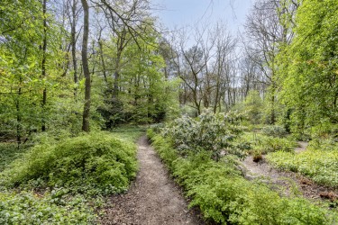 Tuin