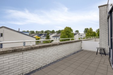 Tuin