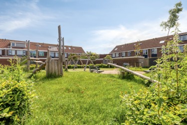 Tuin