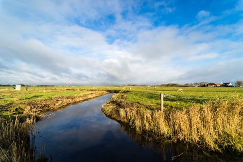 Hoekstra en Van Eck, dé NVM makelaar in Velserbroek