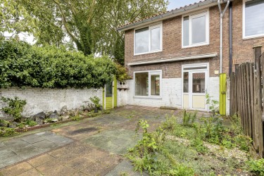 Zonnige tuin