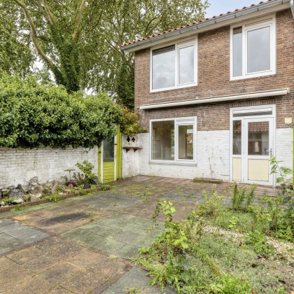 Zonnige tuin