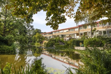 Groene omgeving