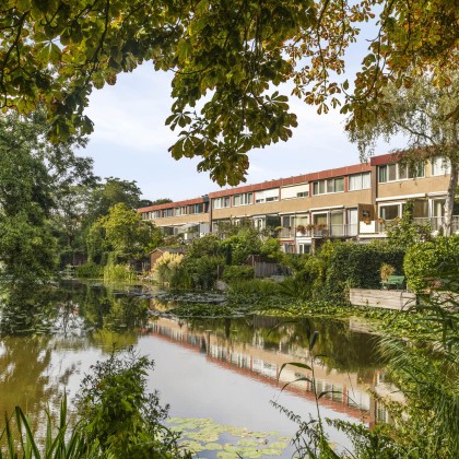 Groene omgeving