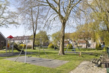 Omgeving