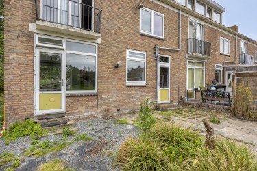 Tuin