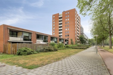 Omgeving