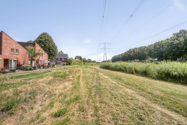 Omgeving
