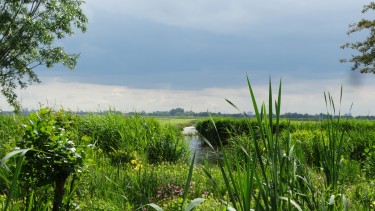 Extra foto's