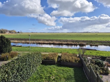 Tuin