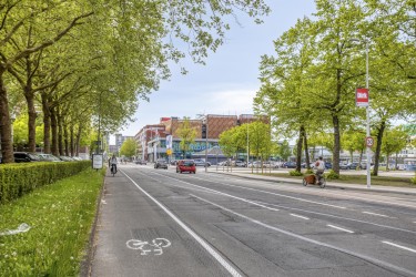 Omgeving