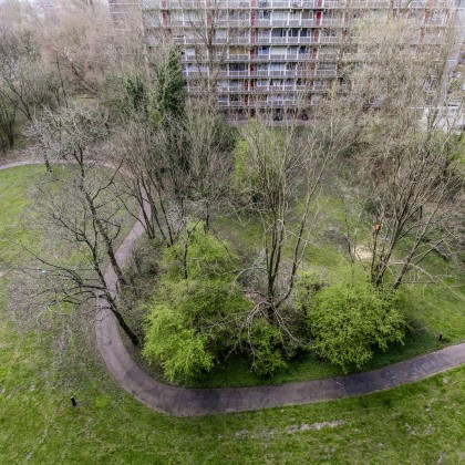 Groene omgeving