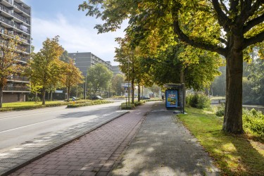 Omgeving