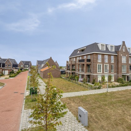 groene omgeving