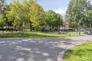 Omgeving