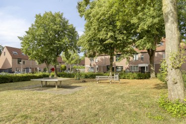 Extra foto's
