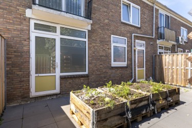 Tuin