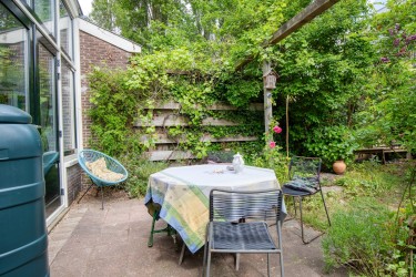 Tuin