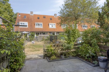 Tuin