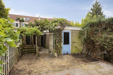 Tuin