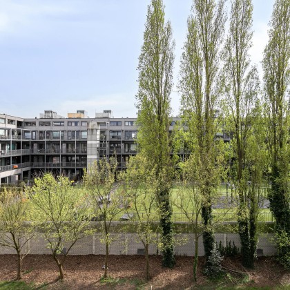 Groene omgeving