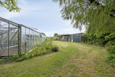 Tuin