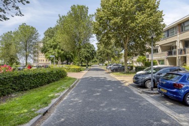 Omgeving