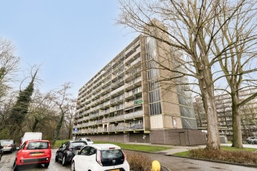 Extra foto's