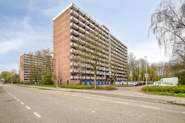 Extra foto's