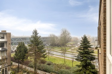 Omgeving