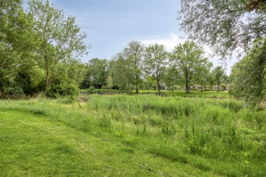 Omgeving