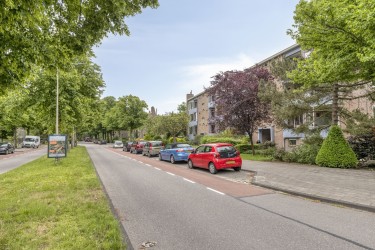 Omgeving