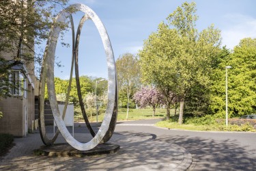 Omgeving