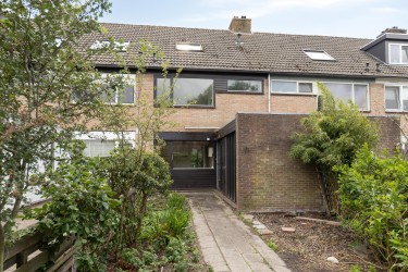 Tuin