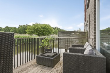 Tuin