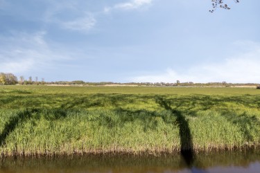 Uitzicht