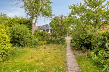 Zonnige tuin