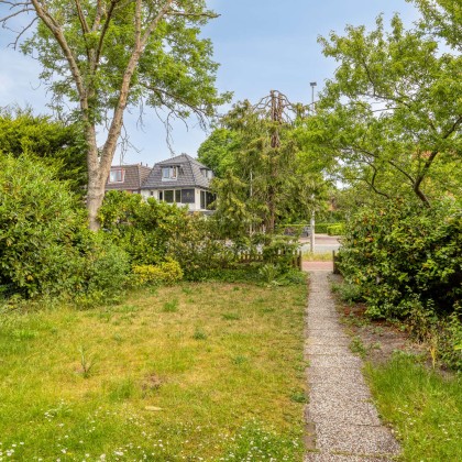 Zonnige tuin