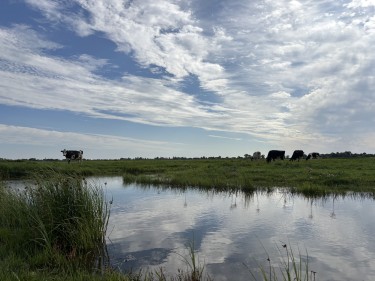 Omgeving