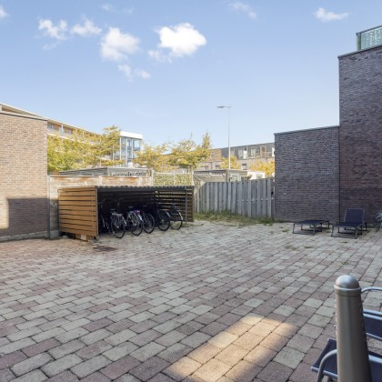 Gezamenlijke tuin