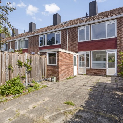 Zonnige tuin