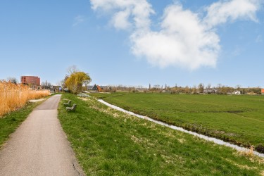 Omgeving