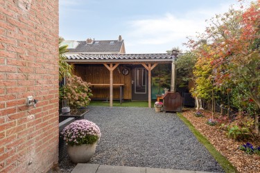 Tuin