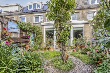 Tuin
