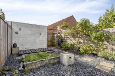 Tuin