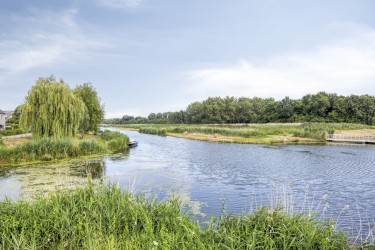 Omgeving