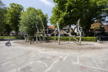 Tuin
