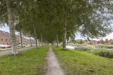 Extra foto's
