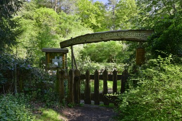 Tuin